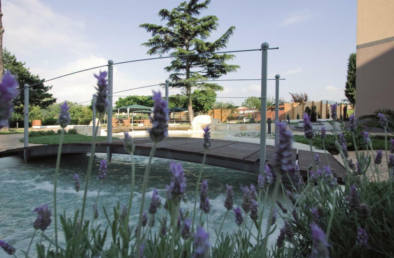 Domus Park Hotel & Spa Frascati Exterior photo